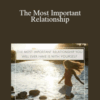 Arash Dibazar – The Most Important Relationship