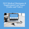 The Missouribar – 2019 Medical Marijuana & Employment Law Issues