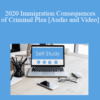 The Missouribar – 2020 Immigration Consequences of Criminal Plea