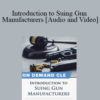 Trial Guides – Introduction to Suing Gun Manufacturers