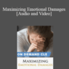 Trial Guides – Maximizing Emotional Damages