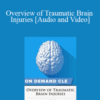Trial Guides – Overview of Traumatic Brain Injuries