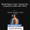 Trial Guides – Spinal Injury Cases, Session Six: Litigation