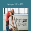 Carrie Owerko – Iyengar 101 + 201
