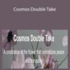 Catherine Oxley – Cosmos Double Take