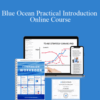 Catherine Vassant – Blue Ocean Practical Introduction Online Course
