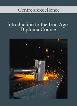 Centreofexcellence Introduction to the Iron Age Diploma Course 250x343 1 - eSys[GroupBuy]