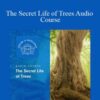 Centreofexcellence – The Secret Life of Trees Audio Course