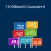 DNBlackbook Ultimate Domaining – $1000/Month Guaranteed