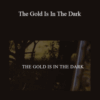 Debbie Ford – The Gold Is In The Dark