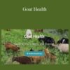 Deborah Niemann – Goat Health