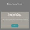 Deborah Niemann – Parasites in Goats