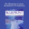 Derek Vitalio – The Blueprint A Linear Breakdown Of Seduction