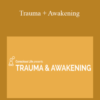 Dr Gabor Maté & Hameed Ali (A H Almaas) – Trauma + Awakening