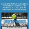 Emergence – UNDERPINNINGS CONCEPTS WHICH LIVE & BREATHE WITHIN AN ECOLOGICAL DYNAMICS FRAMEWORK