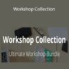 Erin Flynn – Workshop Collection