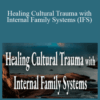 Frank Anderson, Deran Young & Richard C. Schwartz – Healing Cultural Trauma with Internal Family Systems (IFS)
