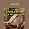 Hemi-Sync – Dreamseed