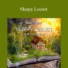 Hemi-Sync – Sleepy Locust