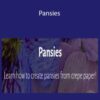Janita Court – Pansies