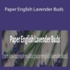 Janita Court – Paper English Lavender Buds