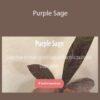 Janita Court – Purple Sage