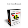 Jesse Charger – Soul Mates Formula