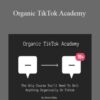 Jimmy Farley – Organic TikTok Academy