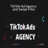 Joel Kaplan – TikTok Ad Agency and Swipe Files