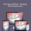 John Malanca – The Sacred Plant – Healing Pain Masterclass