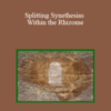 John Overdurf – Splitting Synethesias Within the Rhizome