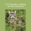 John Overdurf – TCU Recording…Stalking the Wild Synesthesia
