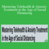 Joni Gilbertson & Catherine M. Pittman – Mastering Telehealth & Anxiety Treatment in the Age of Social Distancing: Your guide to documentation, ethics and insurance