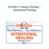Joy Martina, Roy Martina – Module 4 Omega Healing – Intentional Healing
