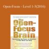 Les Fehmi – Open-Focus – Level 1-3(2016)
