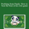 Leslie Rohde – Profiting from Panda: How to beat the bear at his own game