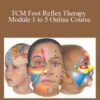 Lone Sorensen – TCM Foot Reflex Therapy Module 1 to 5 Online Course