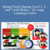 Master Chunyi Lin – Spring Forest Qigong Level 1, 2, and 3 with Bonus – Qi~ssage Learning Course