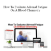 Metabolic Fitness Pro – How To Evaluate Adrenal Fatigue On A Blood Chemistry