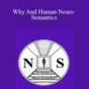 Michael Hall – Why And Human Neuro Semantics