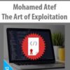 [Download Now] Mohamed Atef – The Art of Exploitation