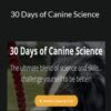 Nando, Jo-Rosie & Dean – 30 Days of Canine Science