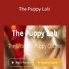 Nando, Jo-Rosie & Dean – The Puppy Lab