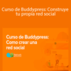 Neetwork Business School – Curso de Buddypress: Construye tu propia red social