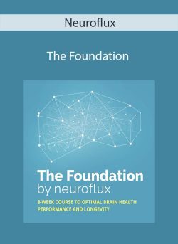 Neuroflux – The Foundation