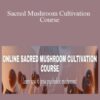 Oliver Merivee and Jasper Degenaars – Sacred Mushroom Cultivation Course