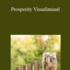 Paul R. Scheele – Prosperity Visualiminal