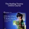 Peter Levine – The Healing Trauma Online Course