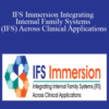 Richard Schwartz, Frank Anderson, Chris Burris, and more! – IFS Immersion Integrating Internal Family Systems (IFS) Across Clinical Applications