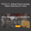 Ritesh Kanjee – YOLO v3 – Robust Deep Learning Object Detection in 1 hour